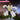 【Size XS-2XL】Dokidoki-R Anime Cosplay White Coat With Sweater Costume Cute
