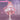 DokiDoki-R Cosplay Costume Sakura Pink Sweet Dress White