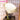 【In Stock】DokiDoki Anime Cosplay Accessory Gold Mirror Fan Prop