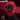 【In Stock】DokiDoki Anime Cosplay Black Red Man Mask