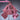 【Size S-2XL】DokiDoki-N Cosplay Costume Pink Ichi-no-Sakura Blossom