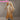 DokiDoki-R Game Honkai: Star Rail Cosplay Aglaea Costume