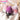 【Partially Ready For Ship】DokiDoki Anime Shugo Chara! Cosplay Prop Heart Egg Heart's Eggs 5.5cm*7.5cm