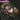 【Ready For Ship】【Last Batch】DokiDoki-R Game Identity V Cosplay Mechanic LOCK CORE Costume Composer idv  Farewell Phantom Girl