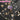 【Partially Ready For Ship】【2.0 Upgrade Ver.】DokiDoki-SR Game Honkai: Star Rail Cosplay Robin Costume Halloween
