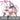 【Confirmed】$5 Deposit =10% OFF Coupon DokiDoki Anime Witch Hat Atelier Cosplay Ininia Costume