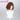 【Ready For Ship】DokiDoki Game Anime Sound! Euphonium Cosplay Oumae Kumiko Wig Short Curly Brown Hair