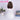 【Ready For Ship】DokiDoki Game Cosplay Girl Group  ANTIFRAGILE  Wig Short Brown Hair